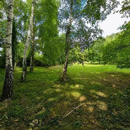 Maison De Famille, Perche Sarthois, Proche Le Mans, Moins De 2h De Paris Prázdninový dům Rouperroux-le-Coquet
